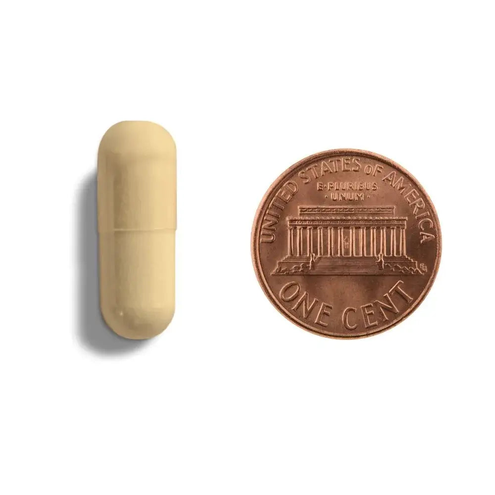 DIM capsule next to a penny