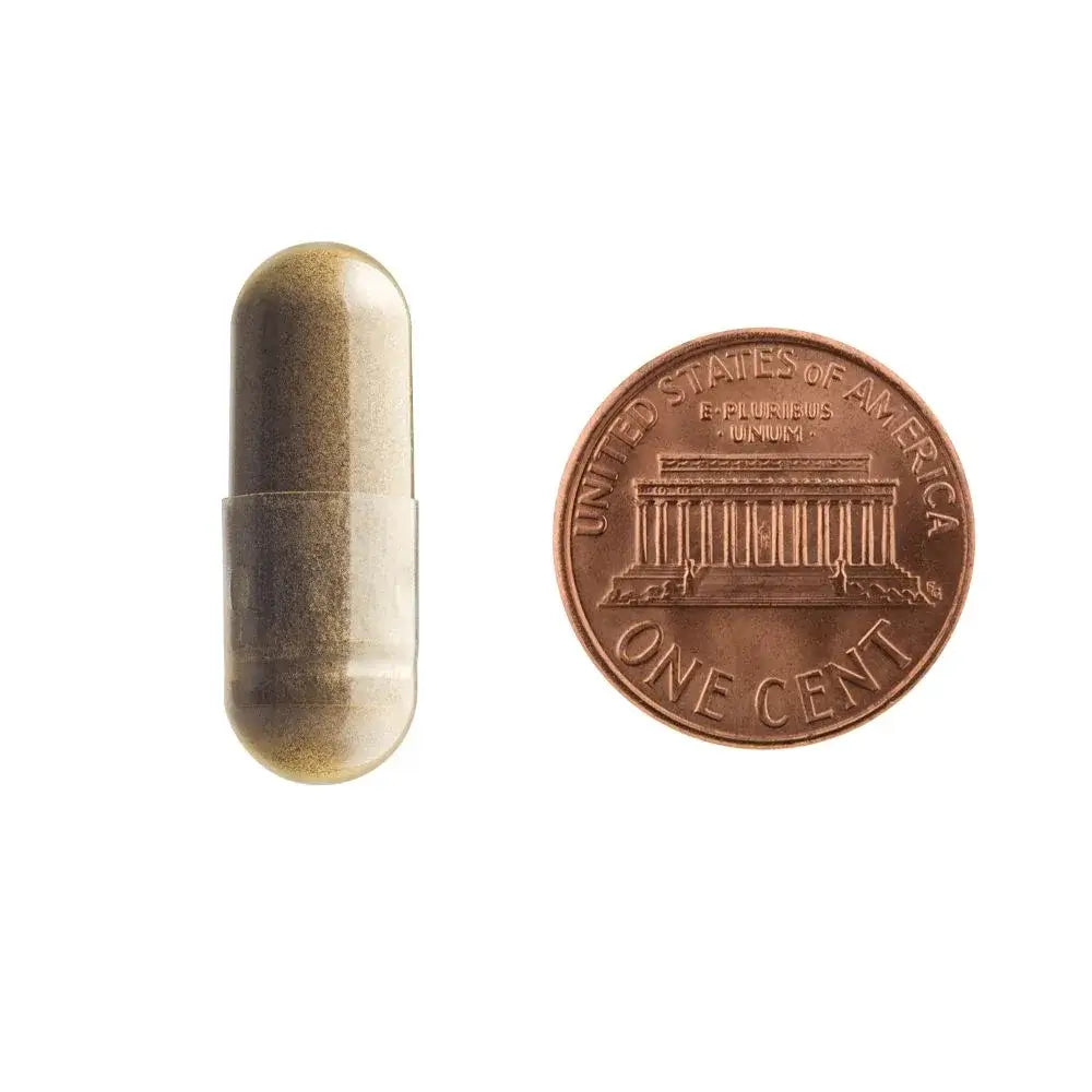 Size comparison of a Libido Lift vegetarian capsule next to a penny to show easy-to-swallow 500mg capsule size.