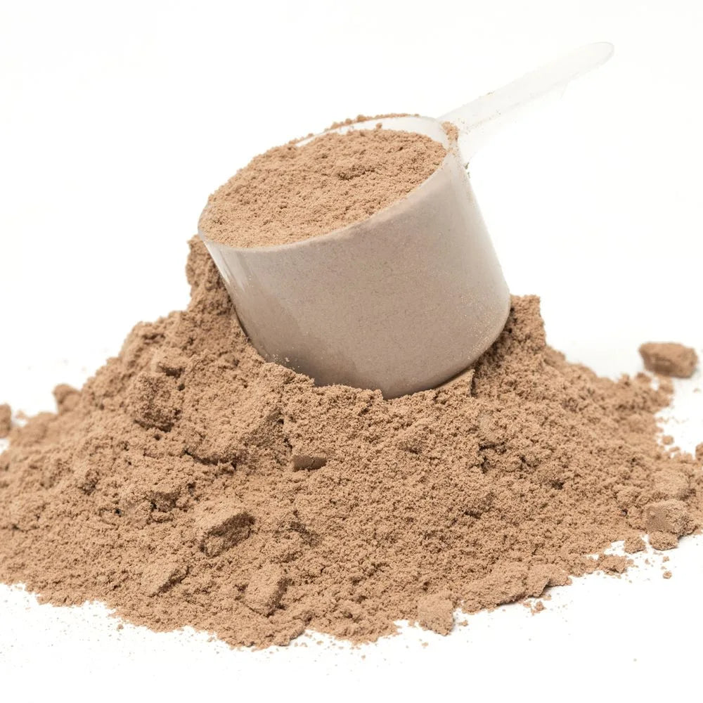 Milk Chocolate Growth Factor Powder with scoop